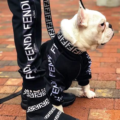 fendi dog harness|fendi dog collar.